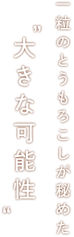 一粒のとうもろこしが秘めた大きな可能性