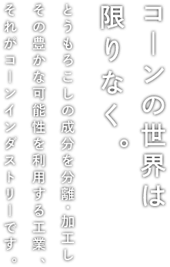 コーンの世界は限りなく。